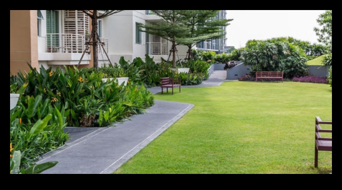 מקלט אנכי: צור את המפלט השליו שלך עם גובה גינון