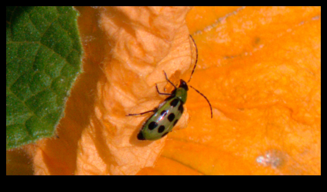 קרבות בפריחה: התמודדות עם מזיקים בעייתיים בגינה