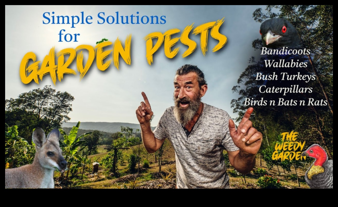 הגן על החלום: אסטרטגיות לטיפול במזיקי גינה