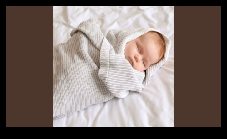 נודניק שירי ערש סימפוניים כדי לעזור לתינוקך לישון בשקט 2 Snooze Symphony: יצירת לילות מלודיים לתינוקך