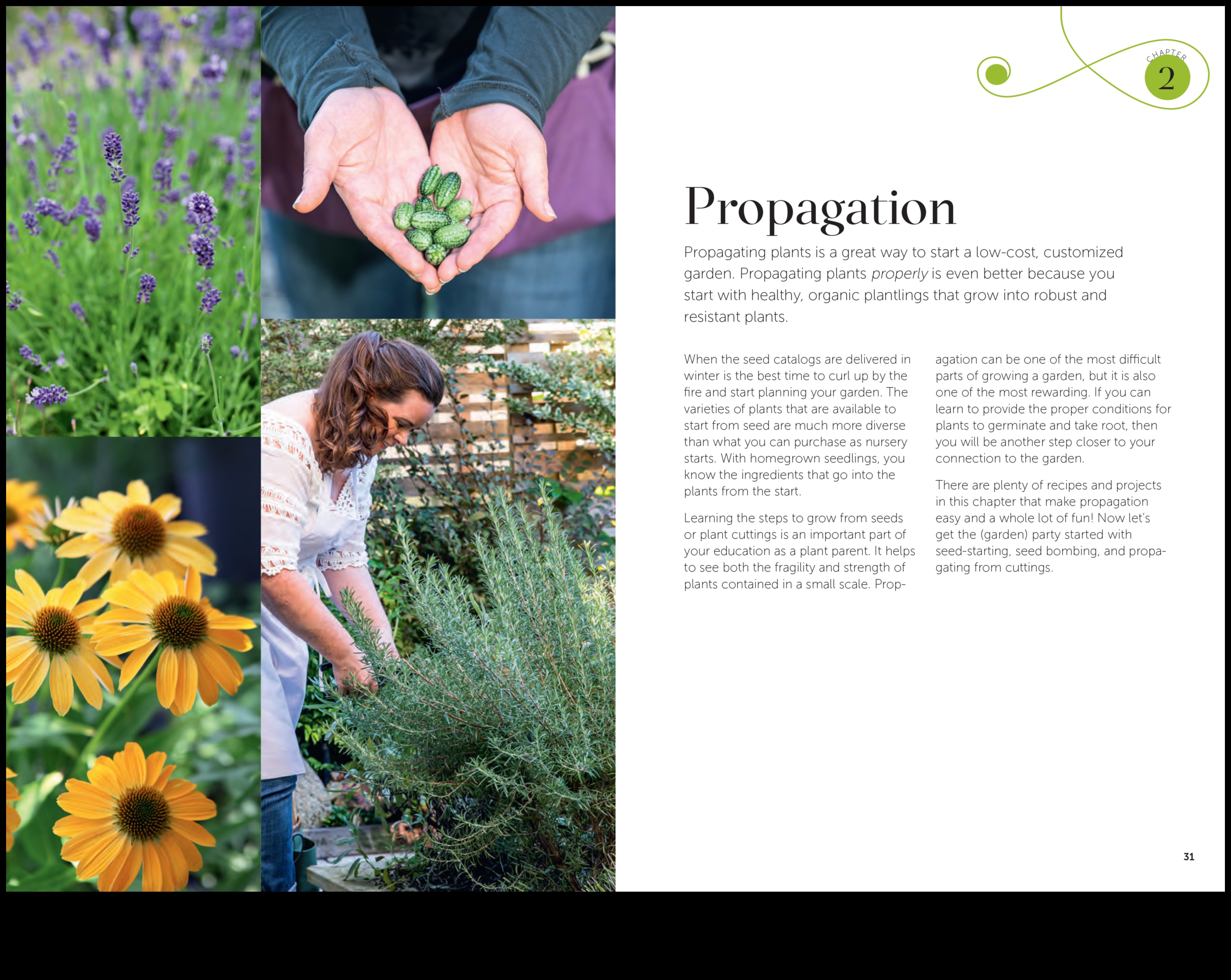 אלכימיית גן: טיפים טרנספורמטיביים לתוצאות מדהימות