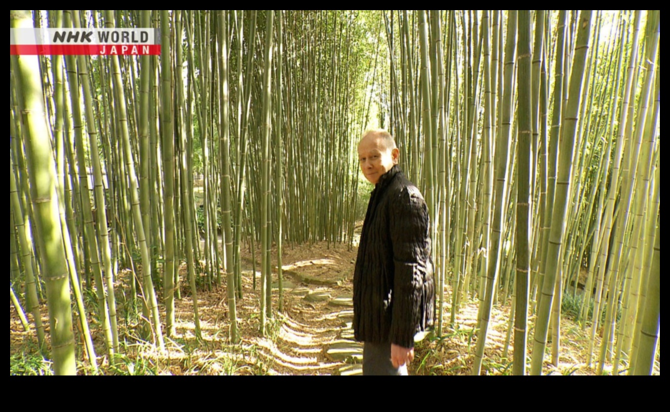 במבוק בריז סוד הגינון היפני 5 בריזות במבוק: סודות הגינון היפני