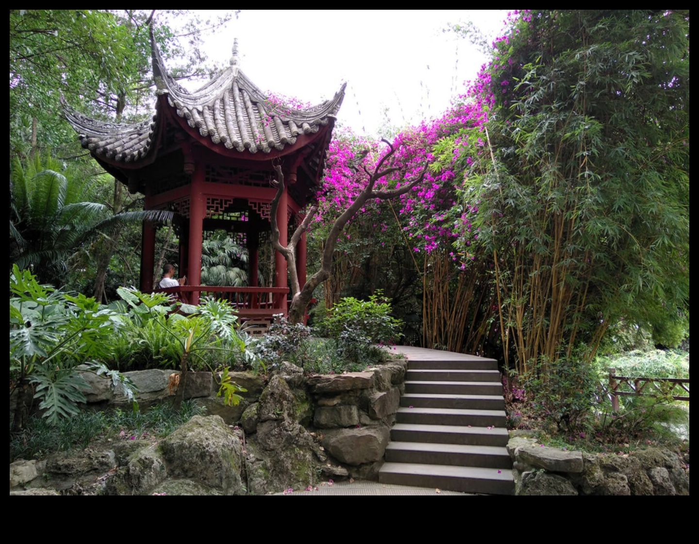 במבוק בריז סוד הגינון היפני 2 בריזות במבוק: סודות הגינון היפני