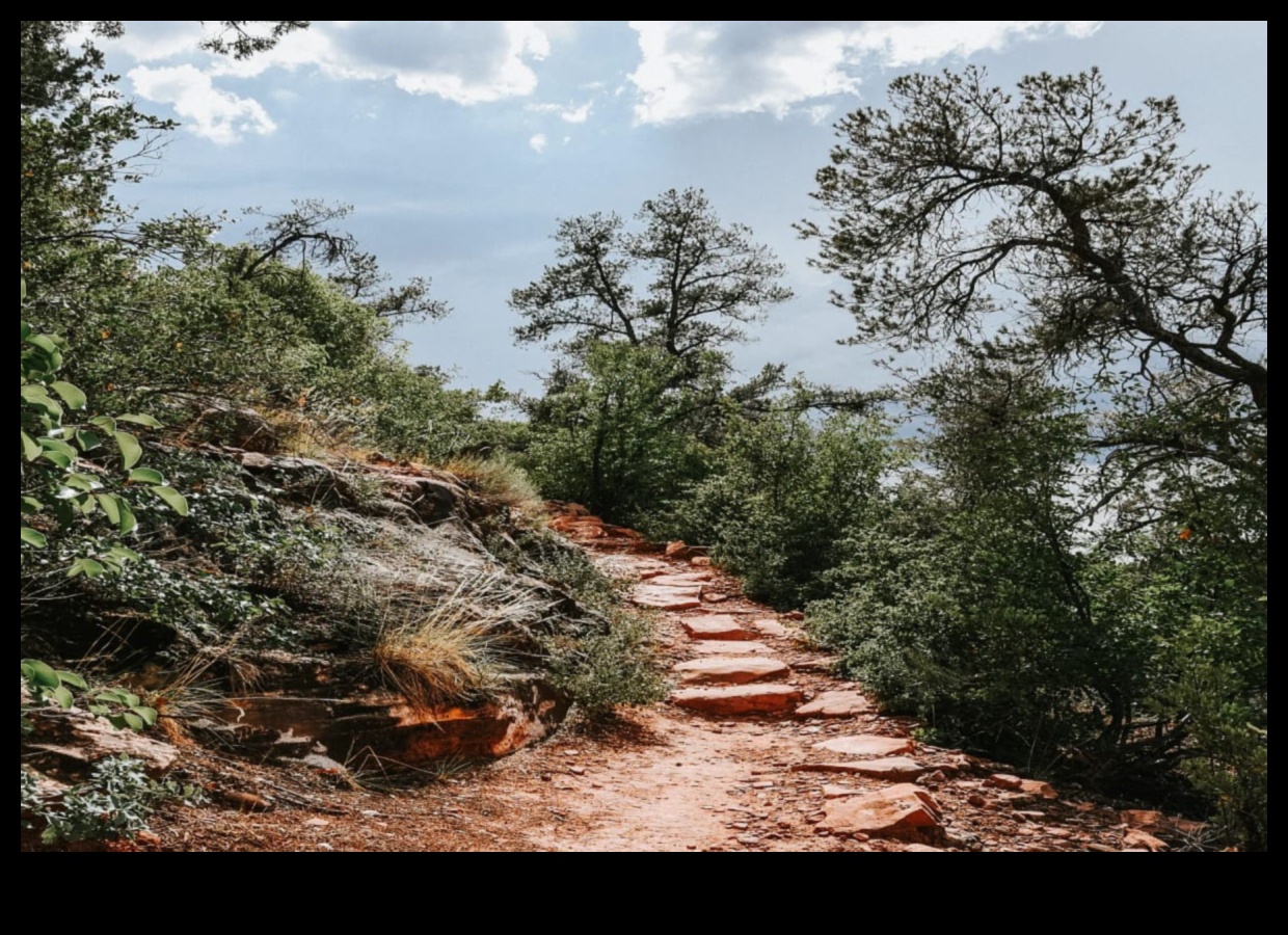 צעד אל הטבע: אימונים בחוץ כדי להתחבר מחדש לכדור הארץ
