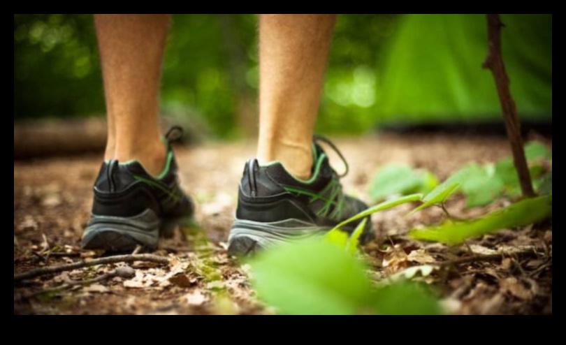 שלווה בחוץ כיצד פעילות גופנית בטבע מגבירה את בריאות הנפש 5 שלווה בחוץ: היתרונות של בריאות הנפש של פעילות גופנית בטבע