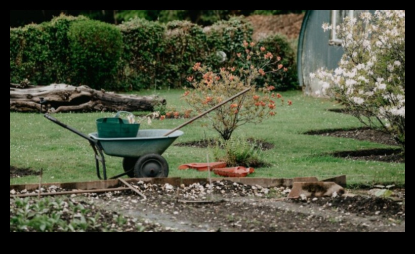 זוהר כל השנה: התאמת טיפול הגן לשלמות