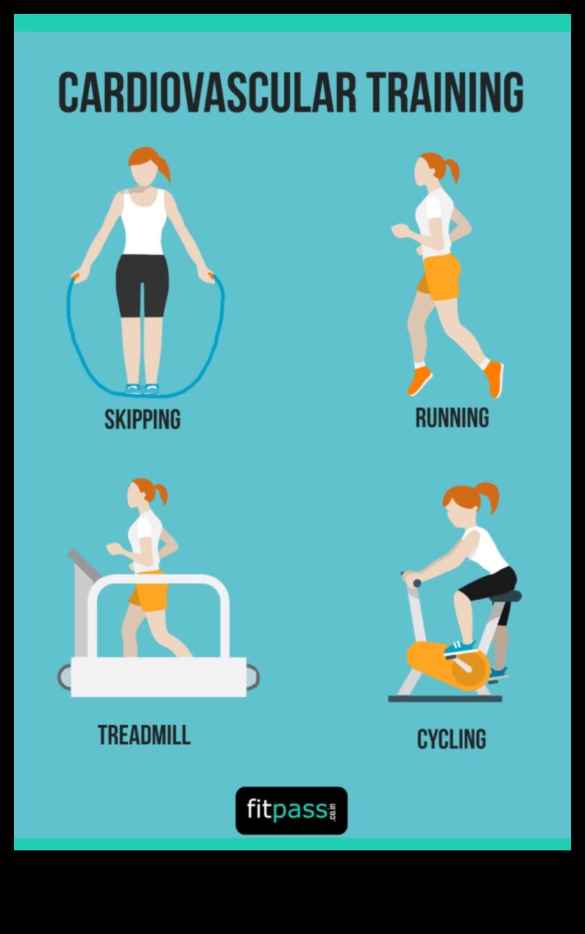דגשים לבריאות הלב: האימונים הקרדיו-וסקולריים הטובים ביותר