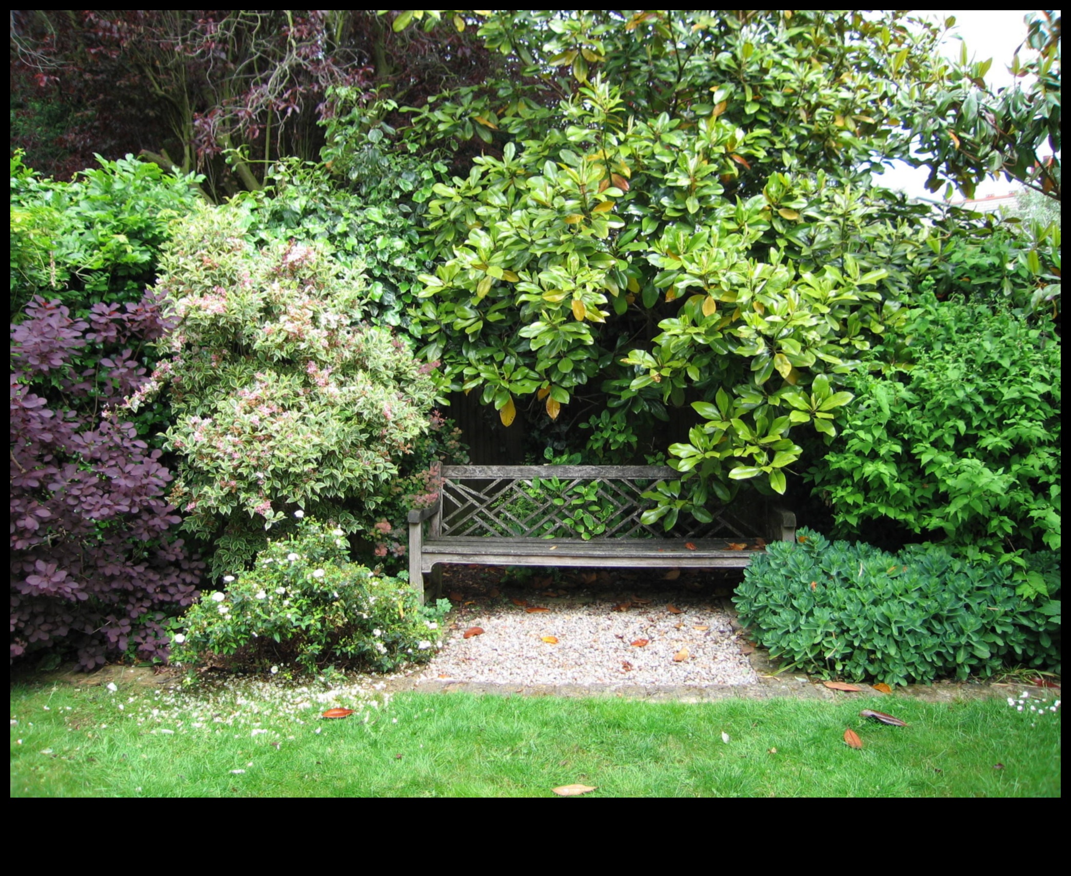 טרסות זעירות, פריחה בשפע: אושר גינון אורבני