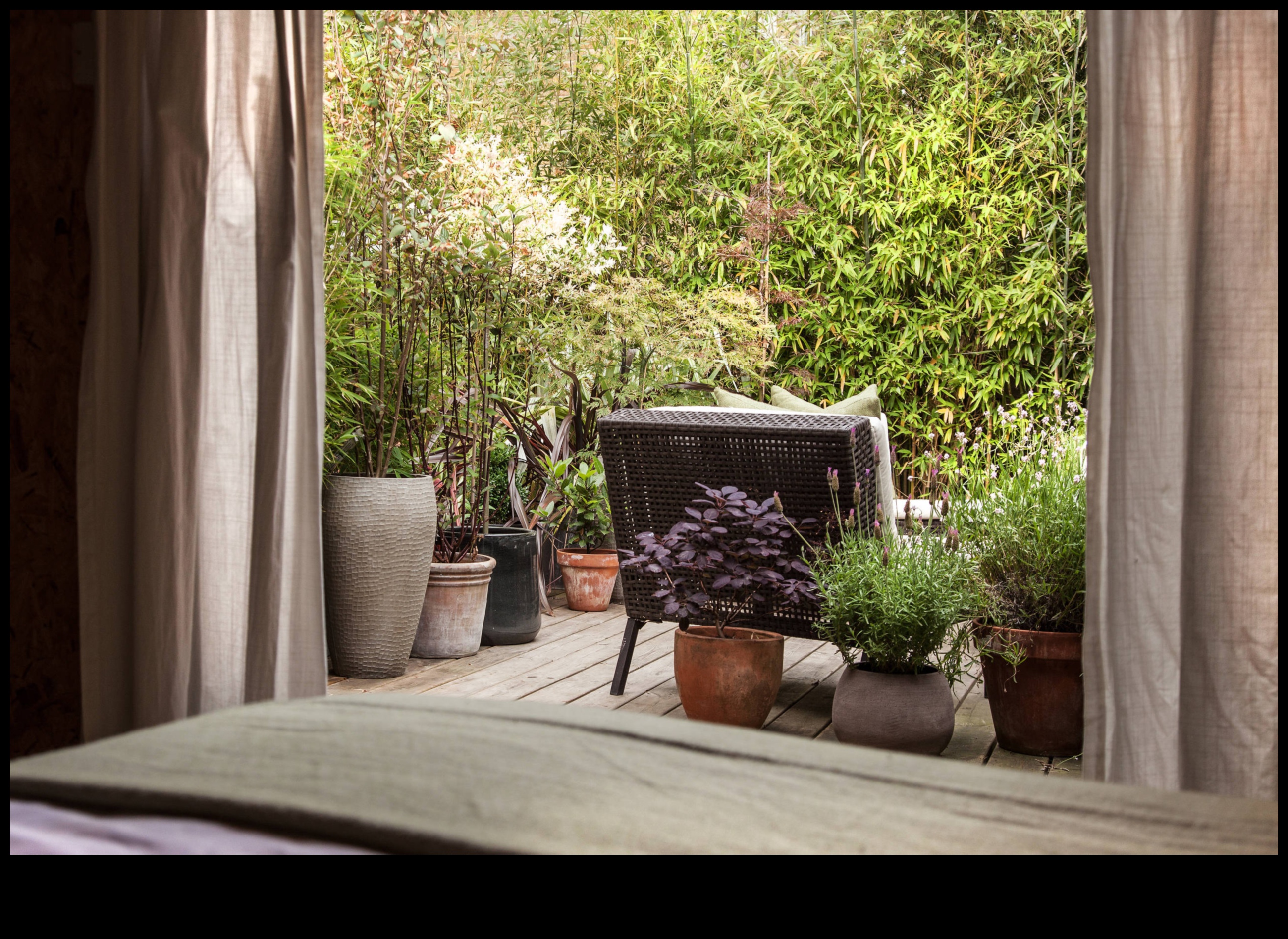 טרסות זעירות, פריחה בשפע: אושר גינון אורבני