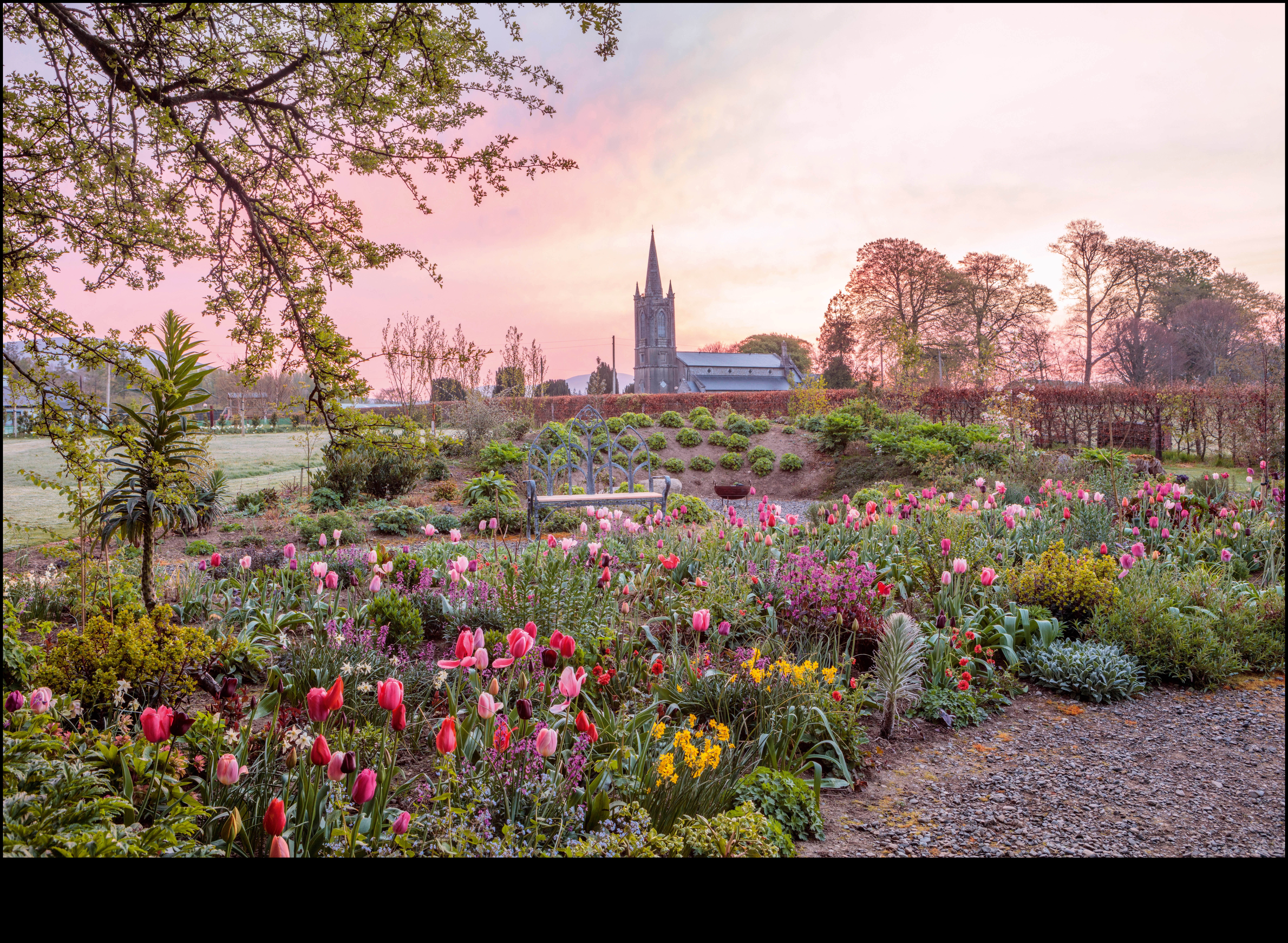 הרמוניה בפריחה: השראה לעיצוב גינות נחשפה