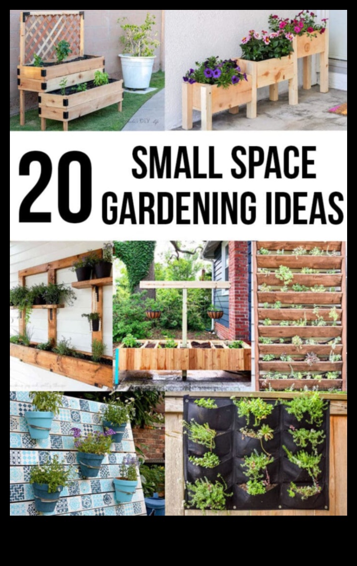 עשה זאת בעצמך עדן: שנה את המרחב שלך עם פרויקטים יצירתיים בגינה