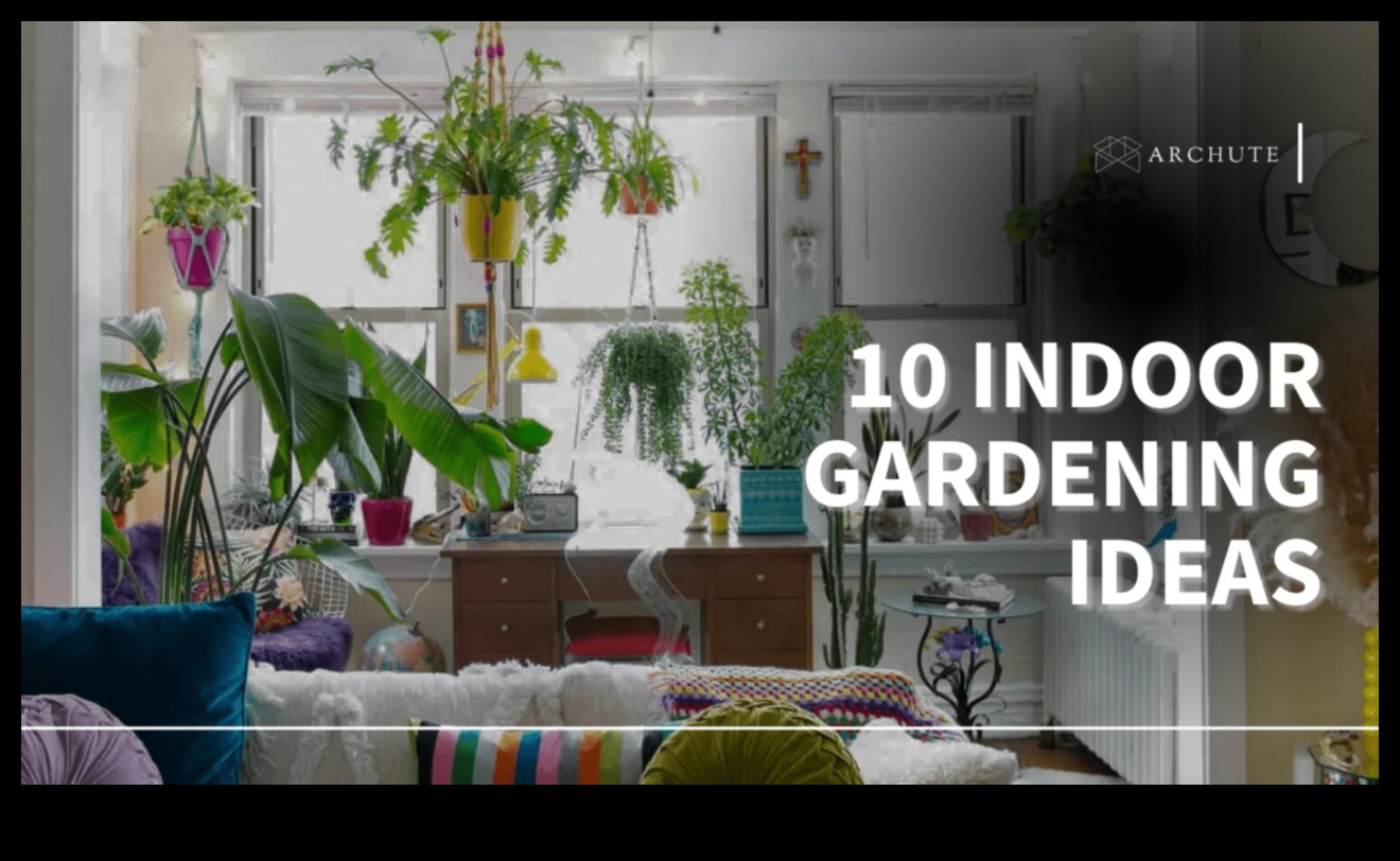 יוקרה עלים הרם את הבית שלך עם גינון מקורה 3 יוקרה עלים: הרם את הבית שלך עם גינון פנימי