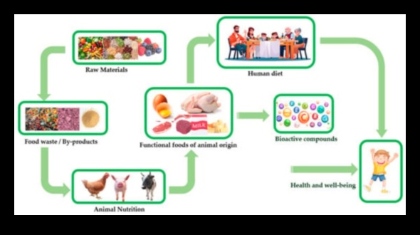 הרמוניה תאית: הסימביוזה של ביוכימיה תזונתית ובריאות