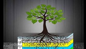 Core Command בסיס לניהול משקל ידידותי לסביבה 6 פיקוד ליבה: בניית מרכז חזק לניהול משקל יעיל