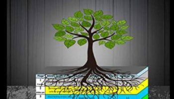 פיקוד ליבה: בניית מרכז חזק לניהול משקל יעיל