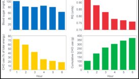 מאקרונוטריינטים שנחשפו: פתיחת הסודות לביצועי שיא