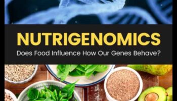 נוטרינומיקה מוסברת: הגנים שלך, הבריאות שלך