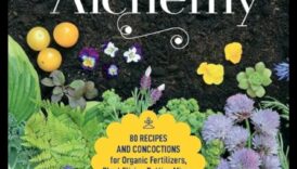 אלכימיית גן: טיפים טרנספורמטיביים לתוצאות מדהימות