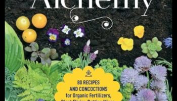 אלכימיית גן: טיפים טרנספורמטיביים לתוצאות מדהימות