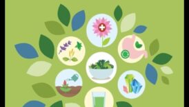 בחירות חכמות, חיים בריאים: מדריך לברק תזונתי