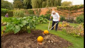 גני צמיחה: חקר מעמקי הגננות
