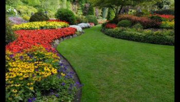 הרמוניה בפריחה: השראה לעיצוב גינות נחשפה