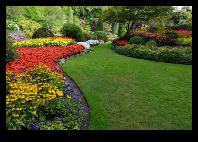 הרמוניה בפריחה: השראה לעיצוב גינות נחשפה