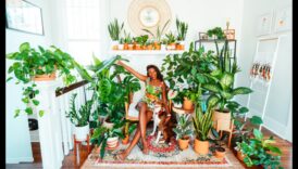 חלומות ג'ונגל מקורה: יצירת מרחבים ירוקים בפנים