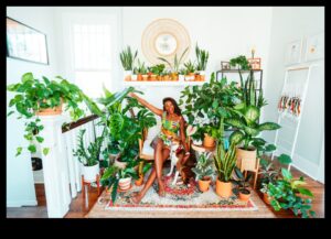 חלומות ג'ונגל מקורה: יצירת מרחבים ירוקים בפנים