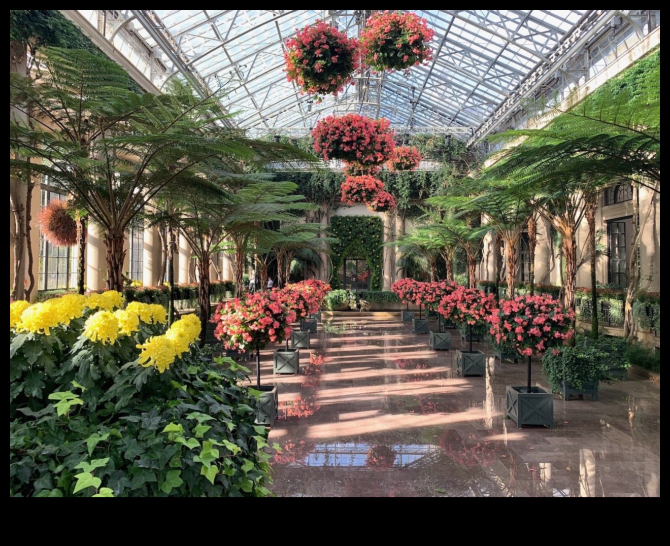 נחשף תענוגות חממה מקורה של ארץ הפלאות, סיור של צמחים ופרחים טרופיים 3 ארץ הפלאות המקורה: נחשי החממה נחשפו