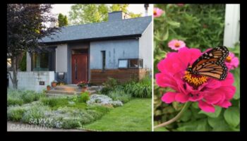 פאר עונתי: טיפים חיוניים לגן עדן פורח