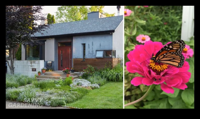 פאר עונתי: טיפים חיוניים לגן עדן פורח