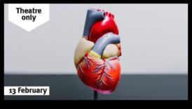 פלאי מרכז וכלי דם חושפים את מסתורי רווחה המרכז 2 פלאי לב וכלי דם: חשיפת תעלומות בריאות הלב