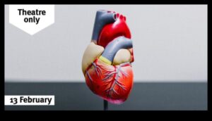 פלאי לב וכלי דם: חשיפת תעלומות בריאות הלב