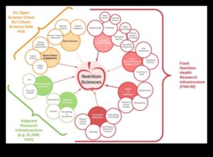 פריצת דרך ביוכימית: חידושים במדעי התזונה