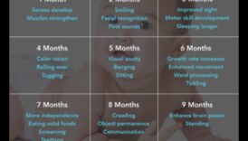 צמיחה זוהרת: אבני דרך מאירות בהתפתחות התינוק