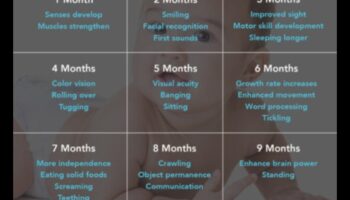 צמיחה זוהרת: אבני דרך מאירות בהתפתחות התינוק