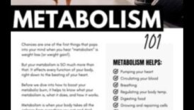 ניהול במטבוליזם כיצד עבודה פיזית יכולה להושיט יד לך להתפוגג יותר אנרגיה ולרדת במשקל 5 שליטה במטבוליזם: כיצד פעילות גופנית מגבירה את שריפת האנרגיה של הגוף שלך