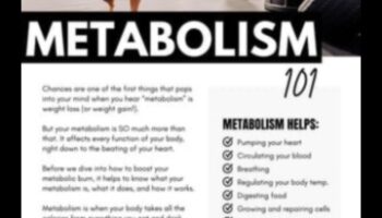 שליטה במטבוליזם: כיצד פעילות גופנית מגבירה את שריפת האנרגיה של הגוף שלך