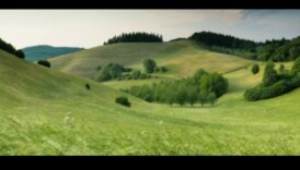 תענוגות גחמניים: שינוי חללים עם אמנות גן