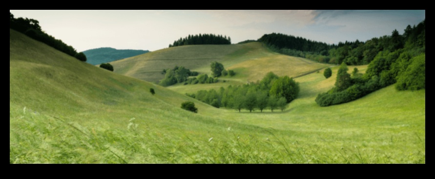 תענוגות גחמניים: שינוי חללים עם אמנות גן